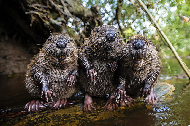 �� �������������� ������ ��������� �����