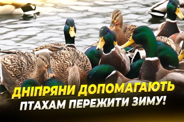 ������ �������� � �����: ��� � ������ ��������� � ������?