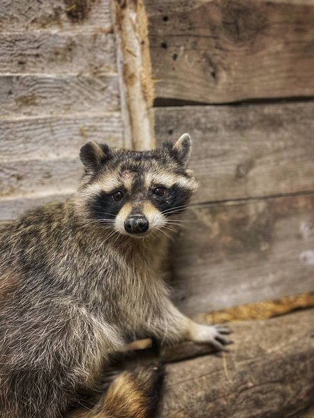 ����� ��� �� ������ �����. �� ����������� � ��������� ������� �� ��������� ����� ���� �� ������� ����������������