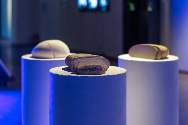 ������� ������ ���������� ������������ �� �������� ��������