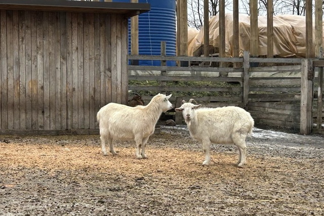 �� �������� �� �������� ����� ������ ������������ ������� ���