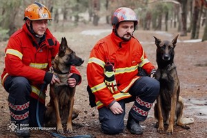 Գ�� �� ���� ����� �� �������������� � ������� �����