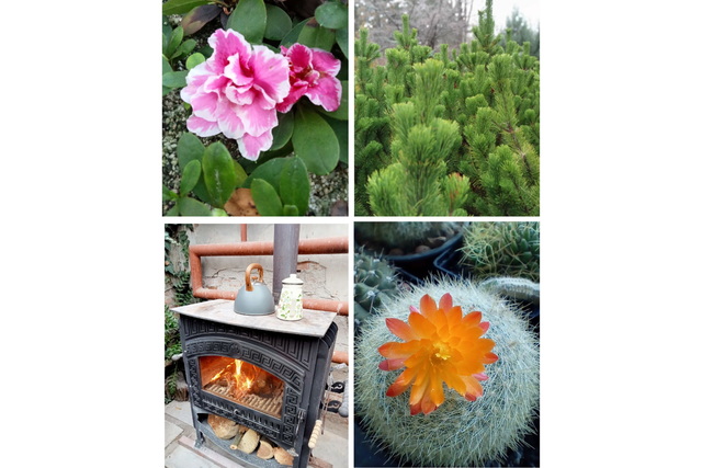 �� ��������� ������� ������� ������ ������� �� ������