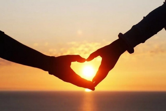 ���� ����������: ������� ��� ���������� �� ���������������� 14 �������