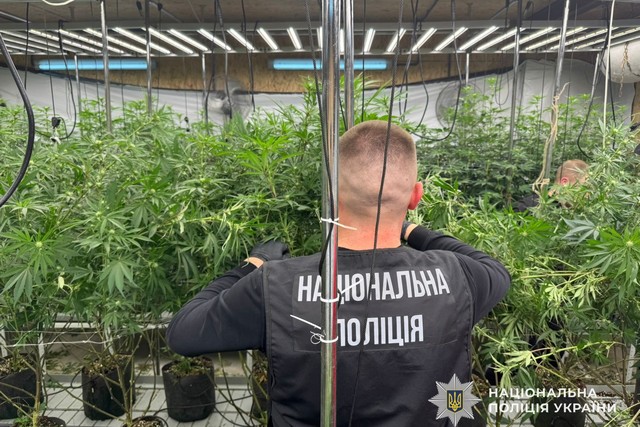 � ����� ������ ������� ��������� ���������������, � ������������ ����������� ���������