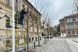 � ������ �� ��������� ������� ������� �������� �������