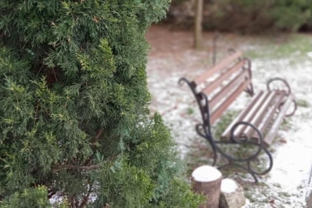 ��������� � ������-������: � ������ ������ ����������� ������� ������� 