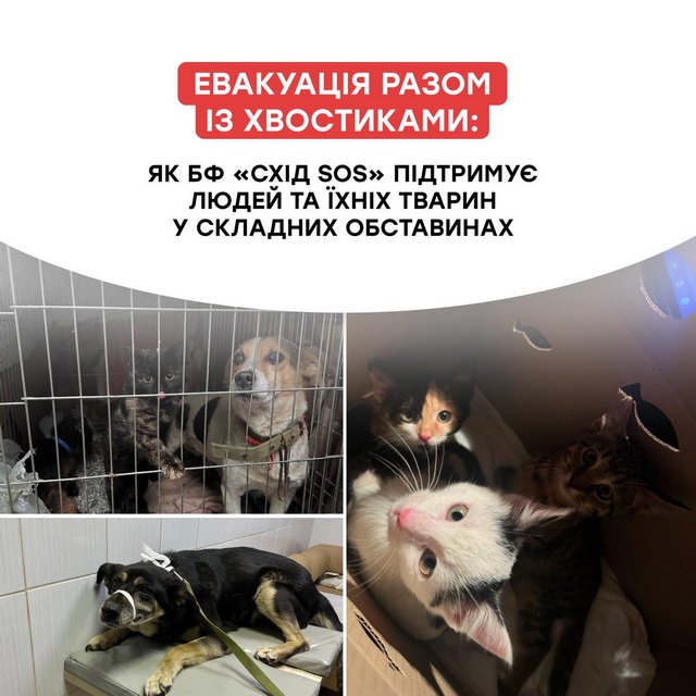 �� ������������ ������� ���������������� ������� ���������� ������ � ��������� ���������