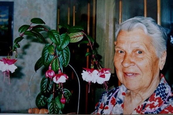 ����� �� ��������� ��������� ������ ����������� 102 ����