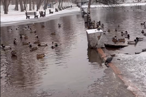 � ����� ����� ����� ����� ������ � ������