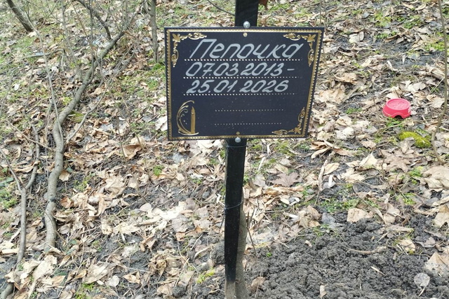 Почему жители Днепра продолжают хоронить своих домашних животных в парках и скверах?