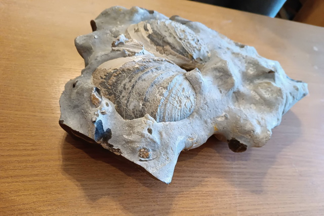 В историческом музее Днепра появился гигантский «Куриный бог»