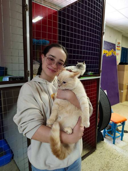 ������� ���������� ������� ����� ���������� � ������