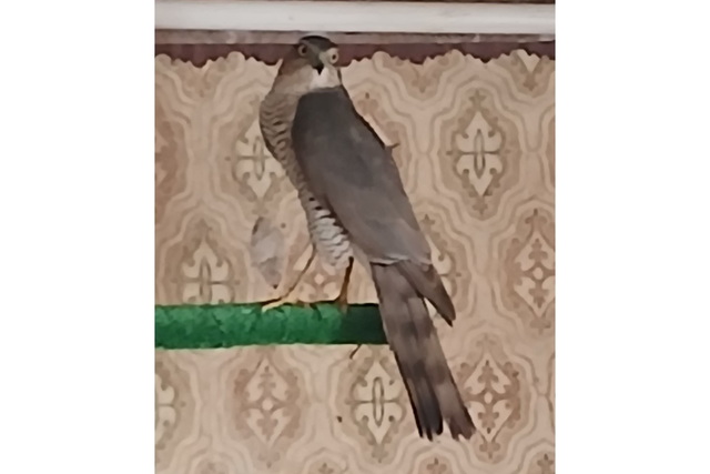 �������� � ������ ����� ������ � ������