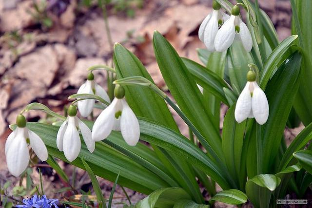 Чи прийде тепло з 1 березня: прогноз синоптика для Дніпра