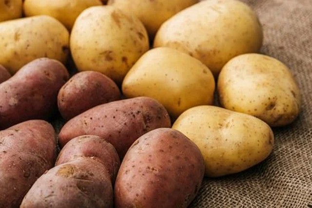 Из-за высокого спроса в Украине дорожает картофель: какие цены сейчас