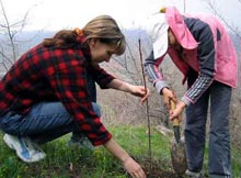 �������� �������� �� ��������������� � ���������� ���������������� 