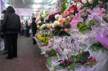 ������� �����-2009: �������� ����� � ��� �������� 