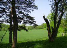 ���������������� ������� �������� �� ����