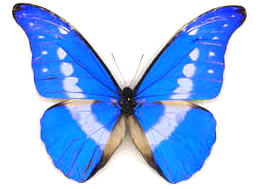 ��� �������� �� 8 �����?