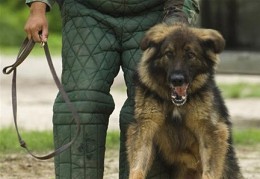 ������ ���� ����� ����� ������ � ������