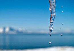 ����� � ������� ������ 25 �����