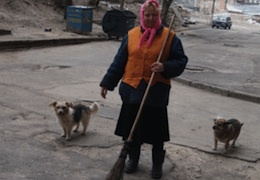 � ����������, �������!