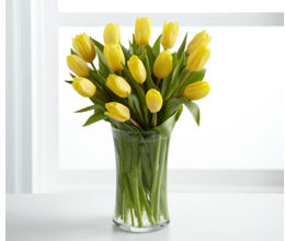 9-� �����. ���� ��������?!