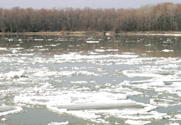 ���������� ������ ��������� �������� ������������ �������� ��� �������������� � ���������� ������������ ��������