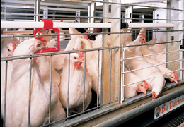 �� ��������� ������������ �������� ���������� �������� ������