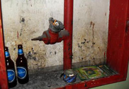 � ���������������� ������ �������� ��������