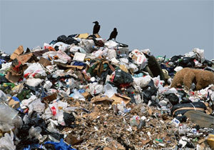 � ������� ��������� ������ ���� �������� 3747 � ���. �������� ������