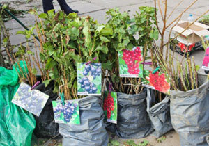 � ���������������� ��������� �������������������� ������� 