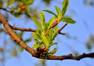 ����� �� ���������������� ������ ��������� �����