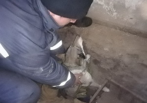 � ��������� ������� �����, ������� � ���