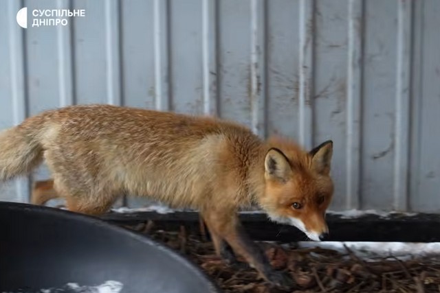 ���� ��������� � �����, ������ � ����� � ������. � ������ ��� �������� �� ���������������� ����� ��������� ������