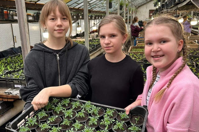 � ���������� ������ ����� ���������� ����������