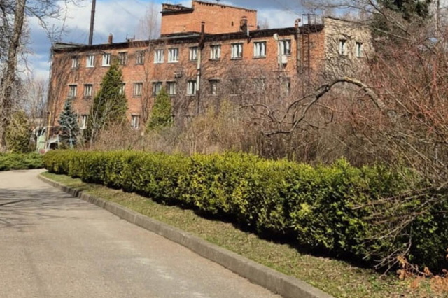 Как ботсад в Днепре работает в марте: когда запланированы рабочие субботы