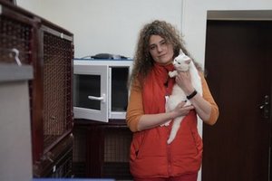 ��� ���������� ������� �������� �����. ���� ���������� �������� ������� ��������� ������ �������� ������