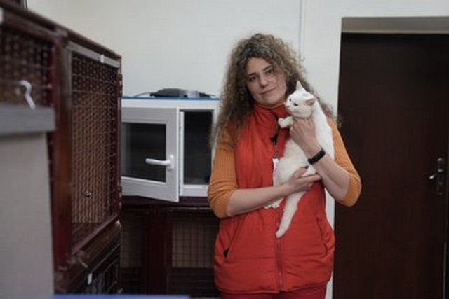 ��� �������� �� ������ ���������� �����. ������ ������������ � ���������� ��������� ���������� ������ ����������� ������