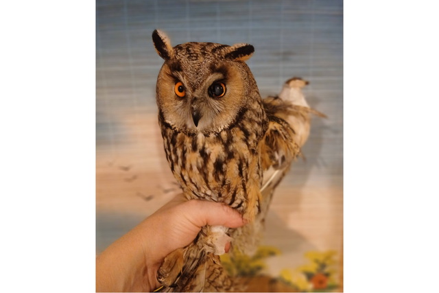 � ������ ���������� ������� �������� �����