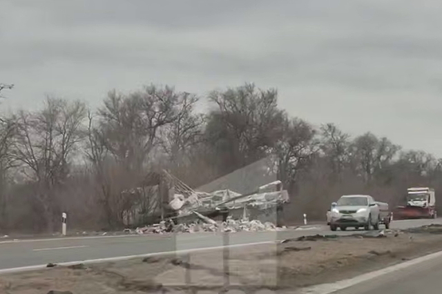 ������� ��� �� ������ ������ � ������ ���: ����������� DAF, Mercedes � Skoda