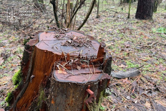 ��������� ������� � ���������� ��������� �� 22 ��� ���: ���������� ������� ���������� ������������� �������