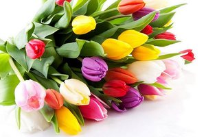 ��������� �� �������� �������� ����� �� 8 ����� (�����)