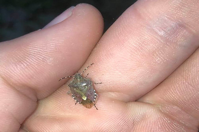 � ����� ������� ���������������� ������� �����: � ��� ��� �������