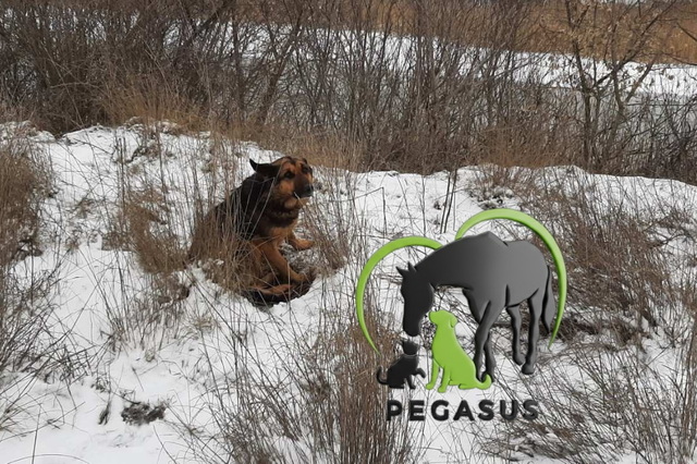 ����� ������ ������ ���!