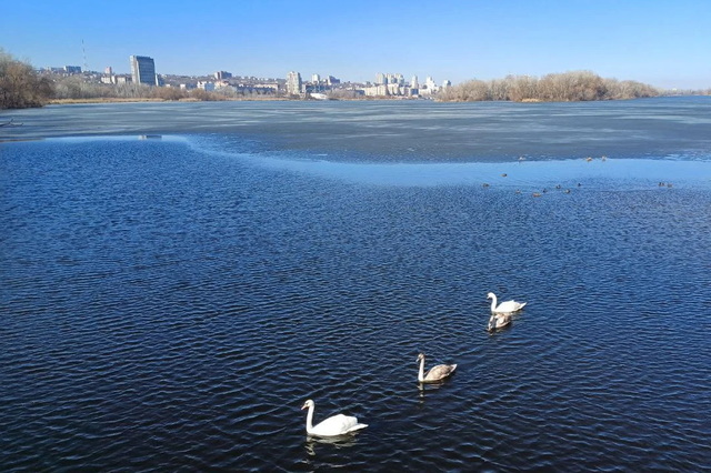 �� ������� �� ��� ������� �����: �� ������� �� ����