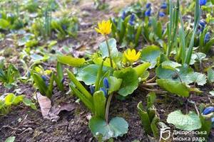 ������� ����� � �� +20 �������: ���� ���� ������ �� ���� ����� � �����