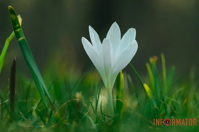 �� ���������� ������ ����� �������� �������