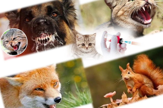 �� 2026 �� �� ���������������� �������� 11 ��������������� �� ���� ������ ������